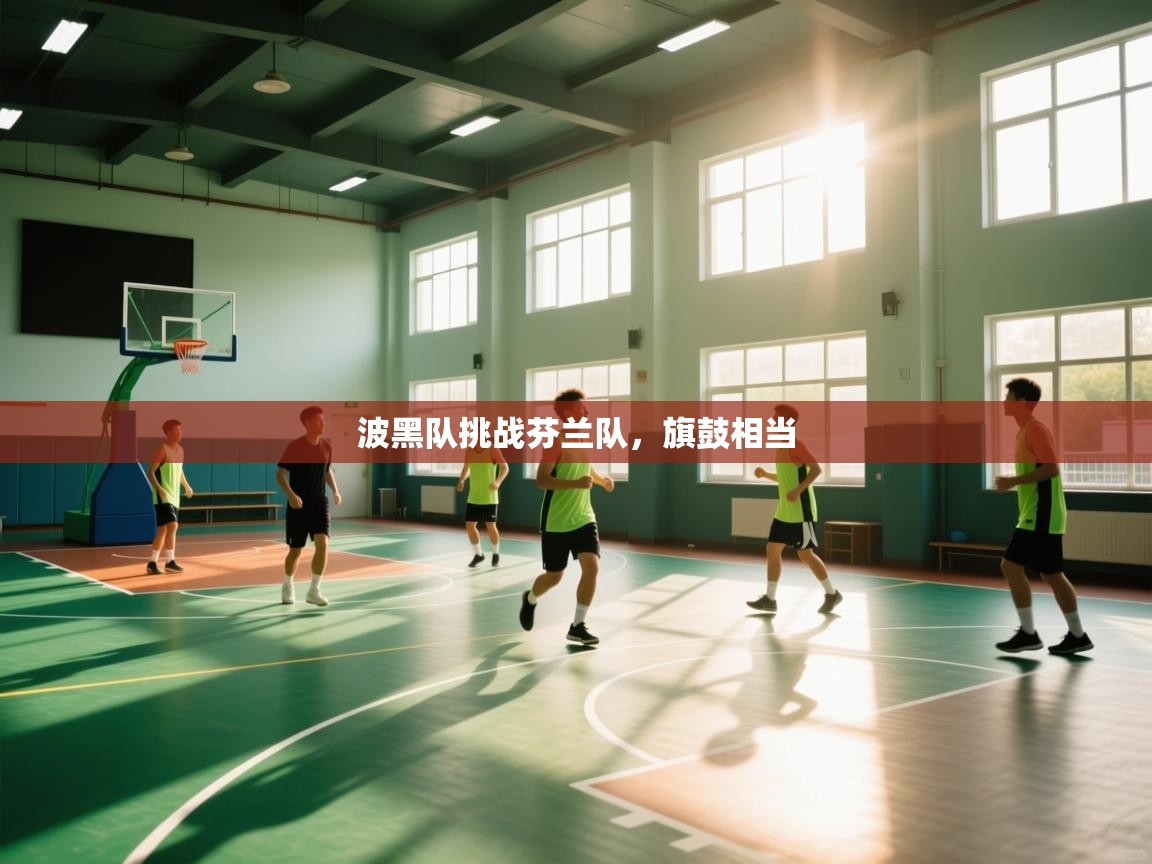 波黑队挑战芬兰队,旗鼓相当 第1张