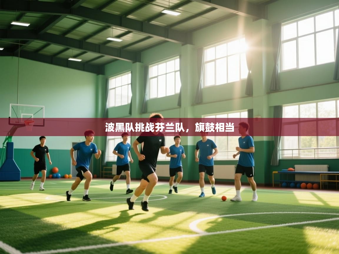 波黑队挑战芬兰队,旗鼓相当 第2张