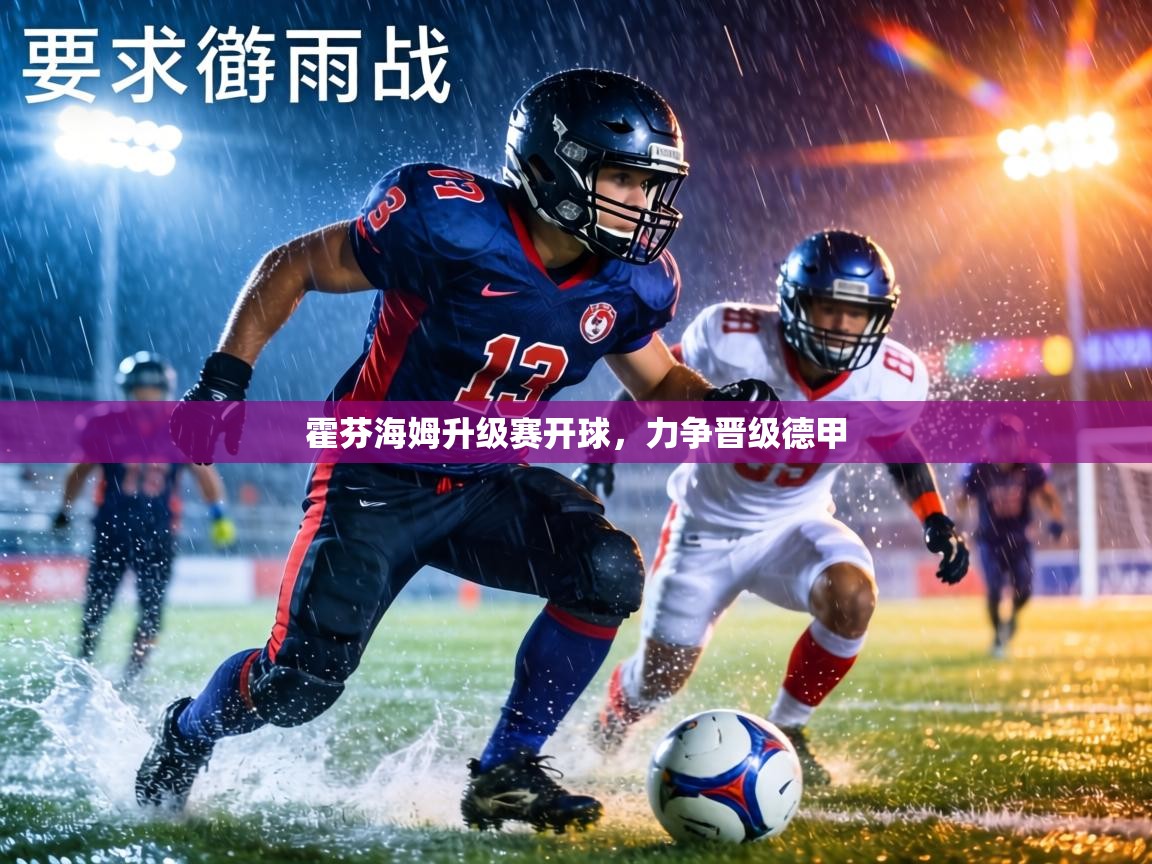 霍芬海姆升级赛开球，力争晋级德甲  第1张